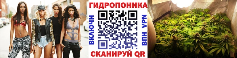 как найти наркотики  MEGA зеркало  Бошки марихуана индика  Стрежевой 